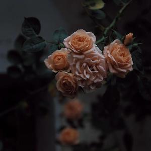 国产Ⅹ丈XX推油按摩BBBB
